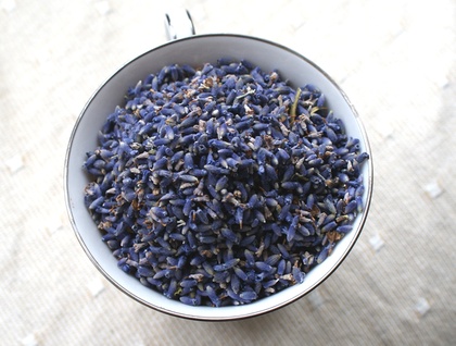 Have some fun cooking with lavender - think of Lavender muffins, icecream, shortbread, drinks. Find recipes on the internet. These lavender buds (Lavandula 